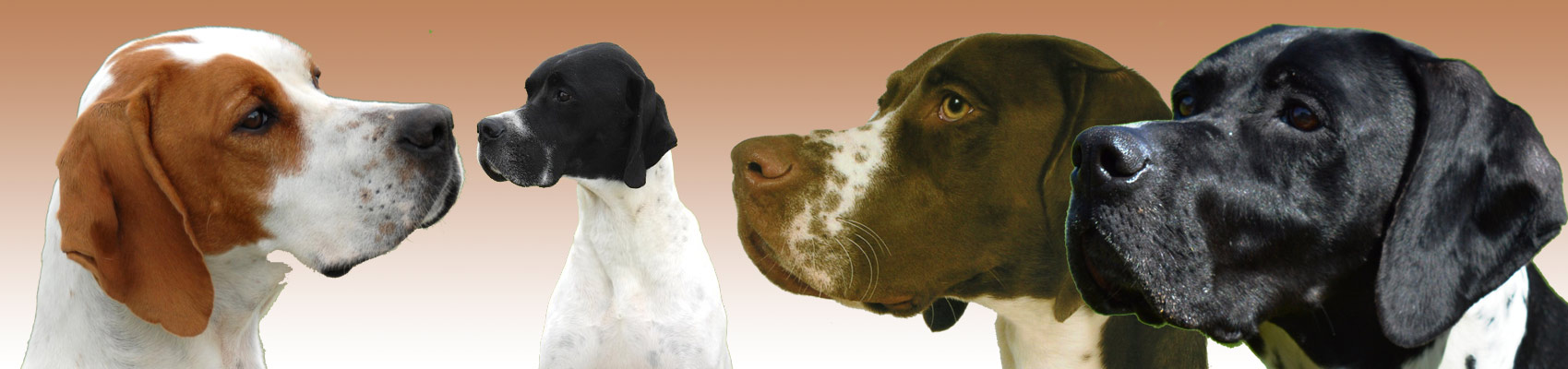 Clamerkin pointers